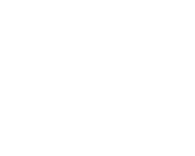 sdu logo